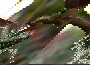 云端 AI 代练系统